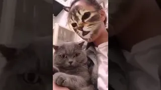 Котэ и Кошачий фильтр из TikTok