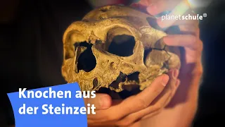 Was Knochen über Menschen erzählen - Woher wissen wir das? | planet schule