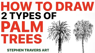 You Can Draw Palm Trees That Look Real!