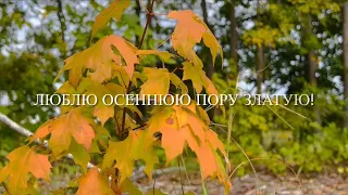 ЛЮБЛЮ ОСЕННЮЮ ПОРУ ЗЛАТУЮ!  ❤️🍁🍂🎶 христианский стих (читает автор Анна Юркин@)