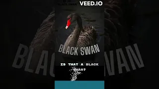 What is a BLACK SWAN EVENT❓❗ Explained FAST