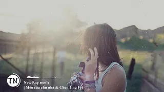 [Vietsub + Pinyin] ♪ New Boy Remix - Mèo Của Chủ Nhà & Chen Jing Fei | New Boy - 房东的猫 ♪