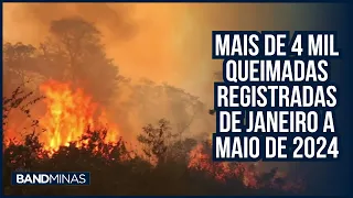 Mais de 4 mil queimadas registradas de janeiro a maio de 2024 | JORNAL BAND MINAS - 28/05/24