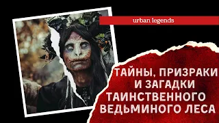 Тайны, призраки и загадки таинственного ведьминого леса