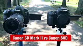 Canon 6D Mark II vs Canon 80D: Which To Buy? Dynamic Range, AF Test & More!