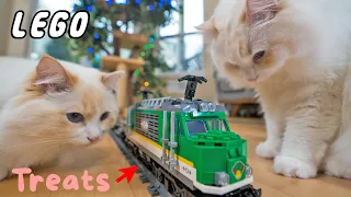 Catch Me if You Can (Cats vs Lego Train) | The Cat Butler