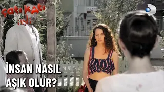 Ayşen'in Kararına Kimse İnanmadı! - Çatı Katı Aşk 6.Bölüm