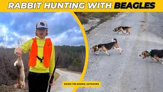 All day rabbit hunt with beagles! ACTION PACKED!
