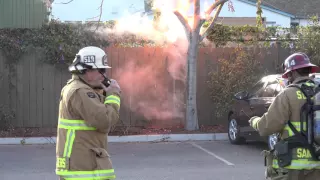 Shocking video (haha)! High Voltage Wire Down!! Tree cooked alive. Fire Dept. can only watch! In 4K.