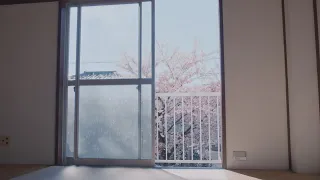 般若 / 2018.3.2 / Official Music Video