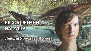 Эволюция. Выход жизни на сушу. Лекция Ярослава Попова.