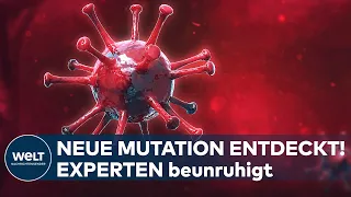 NEUE CORONA-MUTATION: Experten beunruhigt! Variante aus Tansania weist über 40 Veränderungen auf