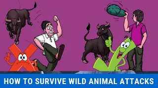 how to survive wild animal attacks - 10 tips on how to survive wild animal attacks