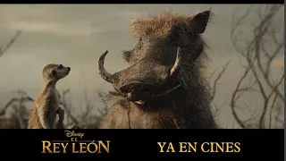 El Rey León (2019) | Anuncio: '¿Por qué me miráis así?' | HD