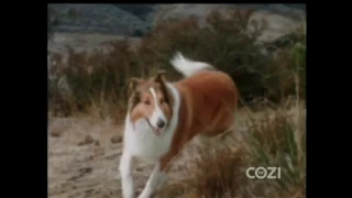 Lassie - Episode #554 - "Lassie's Busy Day" - Season 17, Ep. 15 - 01/17/1971