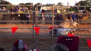 Rodeo 360