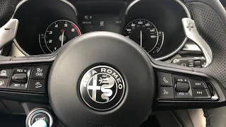 Alfa Romeo Stelvio battery post clean, clear codes now!