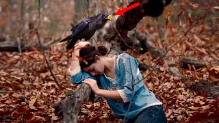 Спасая подбитого ворона, несчастная девушка даже не знала, каким сокровищем он отплатит