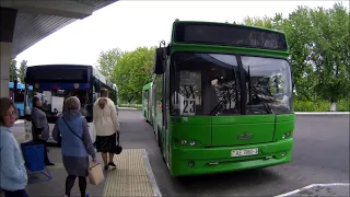 Поездка Мозырь - Гомель. Беларусь. Красота да и только!