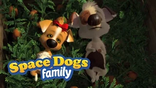 SPACE DOGS FAMILY - Puppy Love