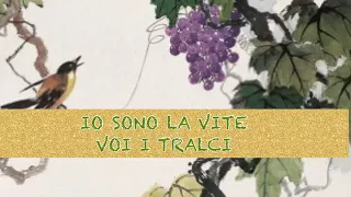 Meditazione sul Vangelo della Quinta Domenica di Pasqua Anno B - la Vite e i tralci Gv 15, 1-8