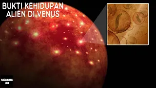 Ilmuwan Nasa Percaya Ada Kehidupan Di Planet Venus Dan Kita Akan Segera Melihatnya