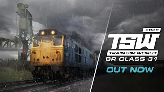 Loading all trains after TSW winter update