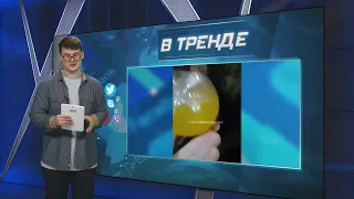 Сюрприз в "Фанте" для российских военных! | В ТРЕНДЕ