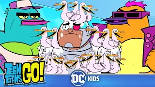 Teen Titans Go! em Português | Passarinhos | DC Kids