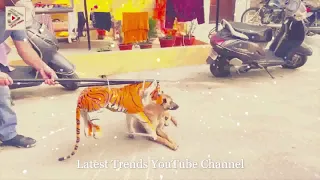 Pets 2021: Tiger (Leopard) Prank with dogs - Cats and Dogs Cute Puppy Kittens Latest Trends Part 15