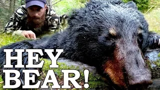 Catch and Cook {Clean} Black Bear in Survival Challenge! | Real Life Red Dead Redemption