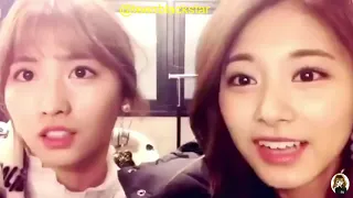 TWICE Tzuyu & Momo Gay, Cute & Funny moments