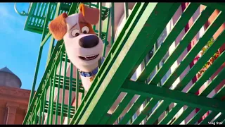 The Secret life of pets 2 | Superhero | Now on Digital; 8/27 on Blu-ray & DVD