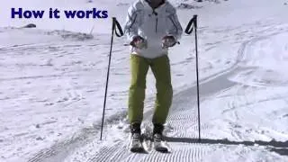 Harald Harb, Lesson 2 How to Ski from PMTS, Direct Parallel  Low 360p