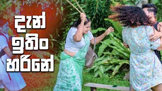 දැන් ඉතිං හරි නේ | Rajini