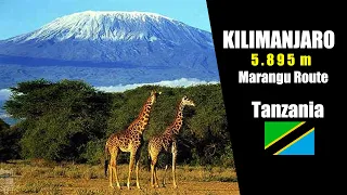 Kilimanjaro, Tanzania