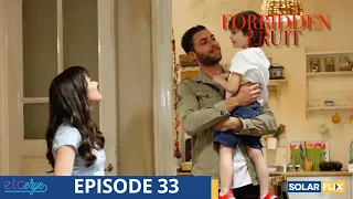 Forbidden Fruit Episode 33 | FULL EPISODE | TAGALOG DUB | Turkish Drama