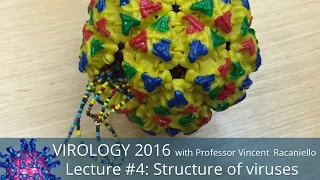 Virology Lectures 2016 #4: Structure of viruses