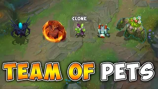 WE CREATED AN ARMY OF PETS! (10v5 COMP)