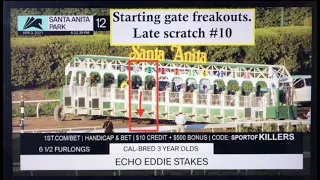 Starting gate freakouts, Santa Anita 4/3/21