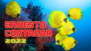 Музыка Эрнесто Кортазар / The Best Of Ernesto Cortazar