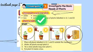 Science year 2 basic needs for a plant's growth