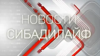 Новости (2019 август) СибАДИ принял участие в экспозиции  международного конкурса «Рембат 2019"