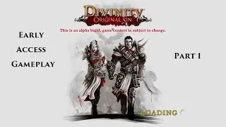 Divinity - Original Sin - Early Access Part 1 HD