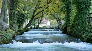 Sound of River Flowing in Village. Relaxing Nature Sounds. Flowing Water, White Noise for Sleeping.