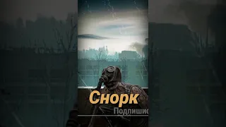 S.T.A.L.K.E.R - Снорк Мутант. Рассказчик Сидорович