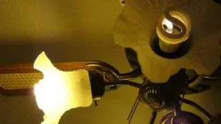 Death of an Energy Efficient Spiral Compact Fluorescent Light Bulb