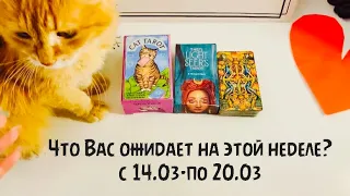 Что Вас ожидает на этой неделе?♟ Книга судеб