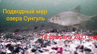 озеро Сунгуль - Челябинская область 14.02.2021 года