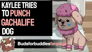 Orange and pink girl tries to hurt gacha dog, what happens next will shock you.  kw: Budsforbuddies